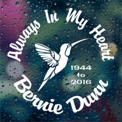 Hummingbird Thumbnail