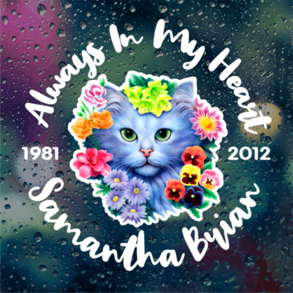 Bouquet Kitten Thumbnail