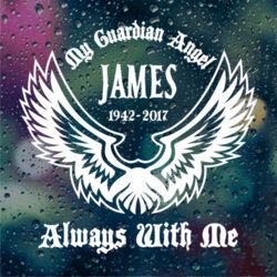 Guardian Angel Style 7 Thumbnail