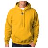 Adult Heavy BlendTM Hooded Sweatshirt Thumbnail