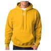 Adult Heavy BlendTM Hooded Sweatshirt Thumbnail